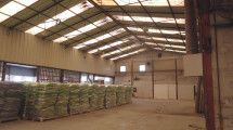 Nave Industrial en Legorreta
