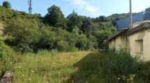 IMG_20240711_095822