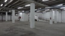DSC03597