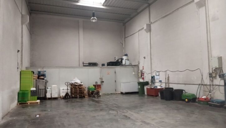 pabellón industrial en Oiartzun