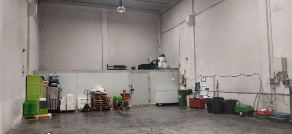 pabellón industrial en Oiartzun